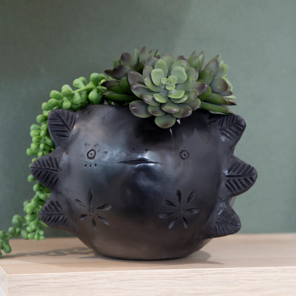 Barro Negro Axolotl Planter