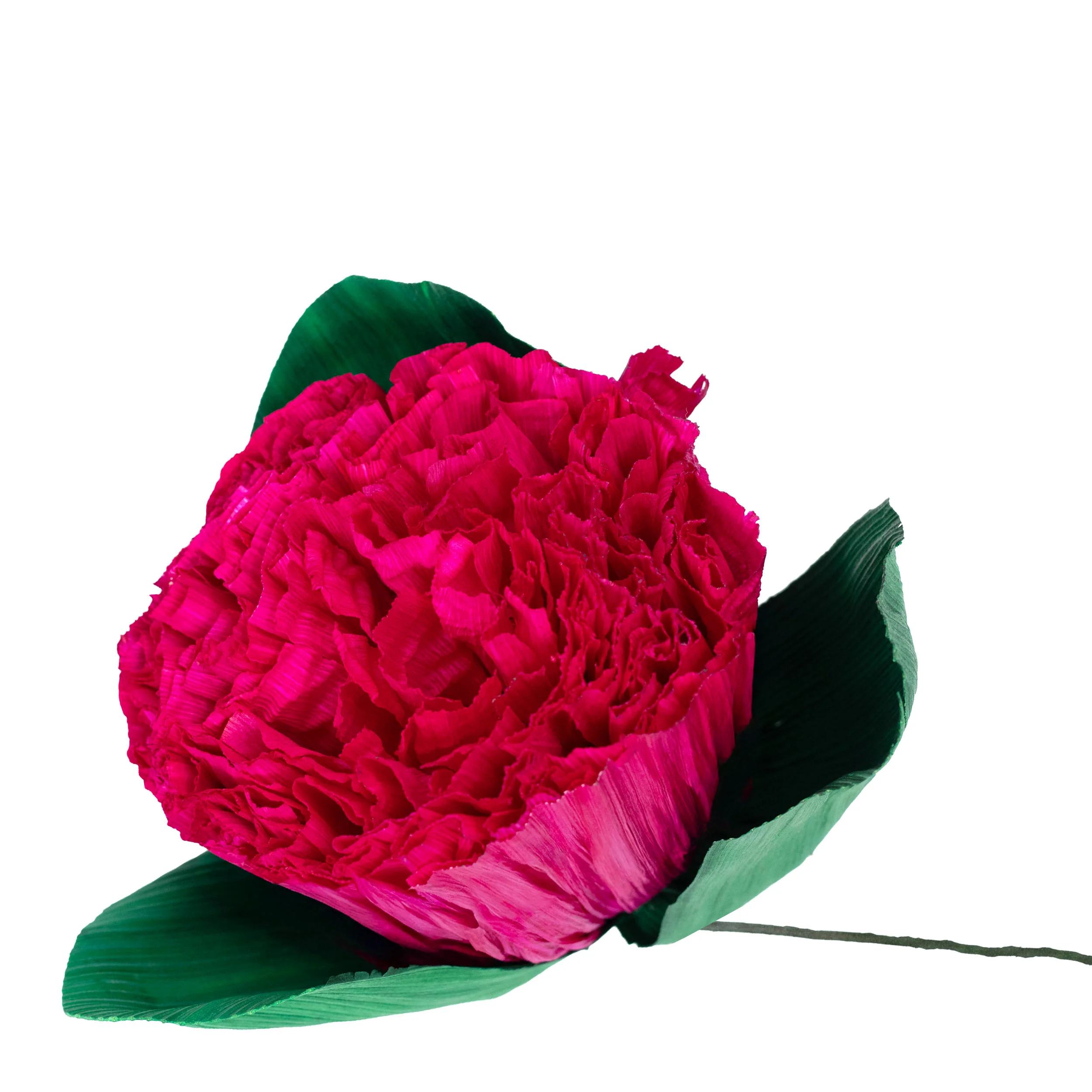 Totomoxtle Cornhusk Carnation Flower - Image 9